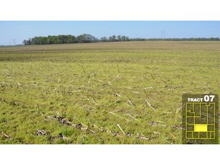 Property photo 41 - Land Auction 1035 Acres In 16 tracts - Farm Land - Sullivan Co. Indiana & Clark Co., Illinois
